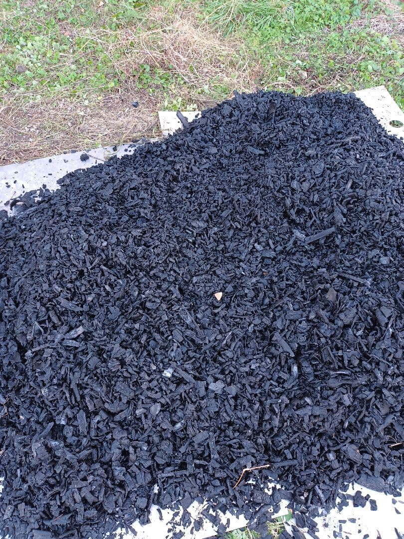 令和7年新米きぬむすめレンゲ米10キロ