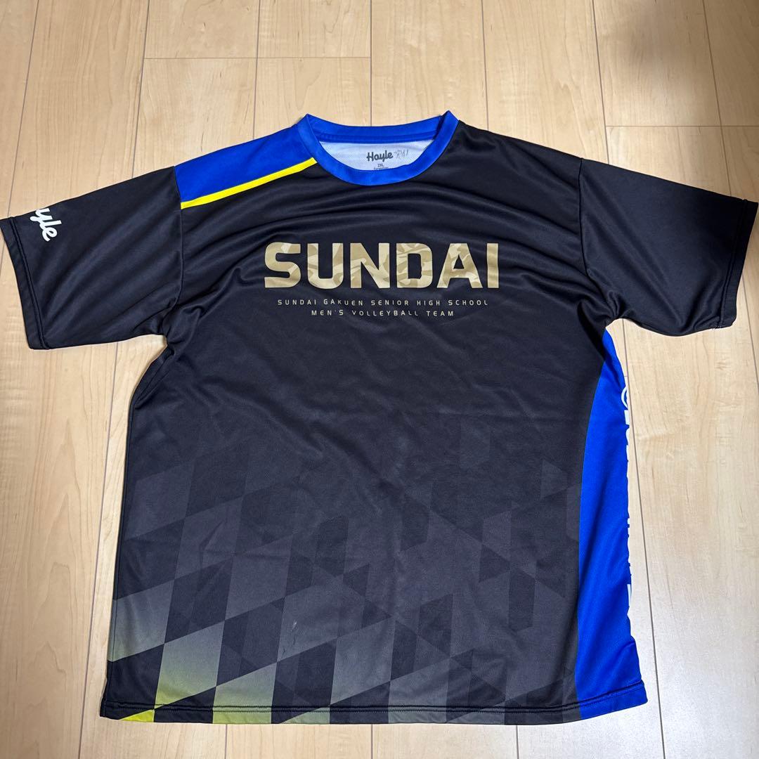 駿台学園バレーボール部練習着