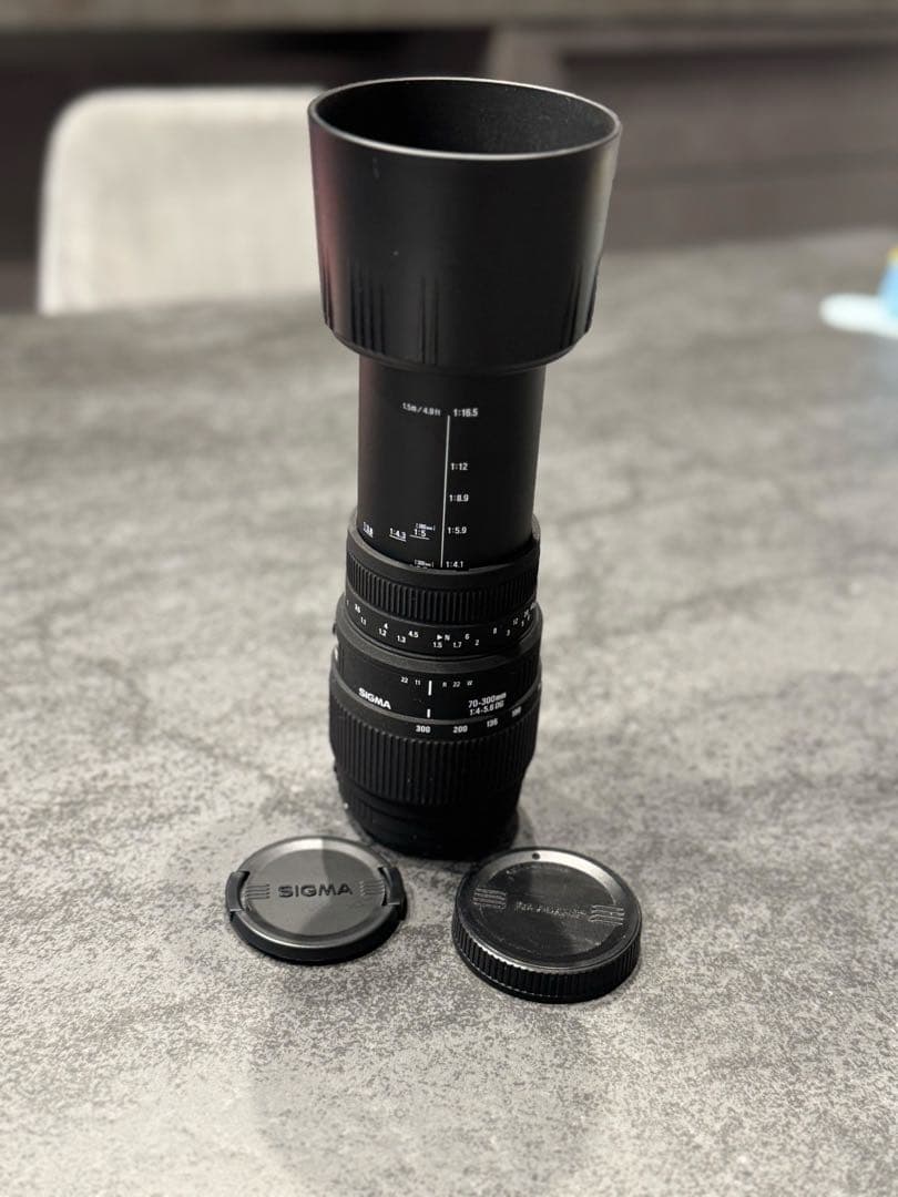 SIGMA 70-300mm F4-5.6 DG ズームレンズ