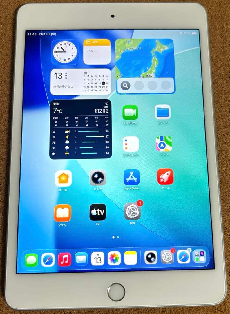 iPad mini5 第5世代 64GB (10) 91%