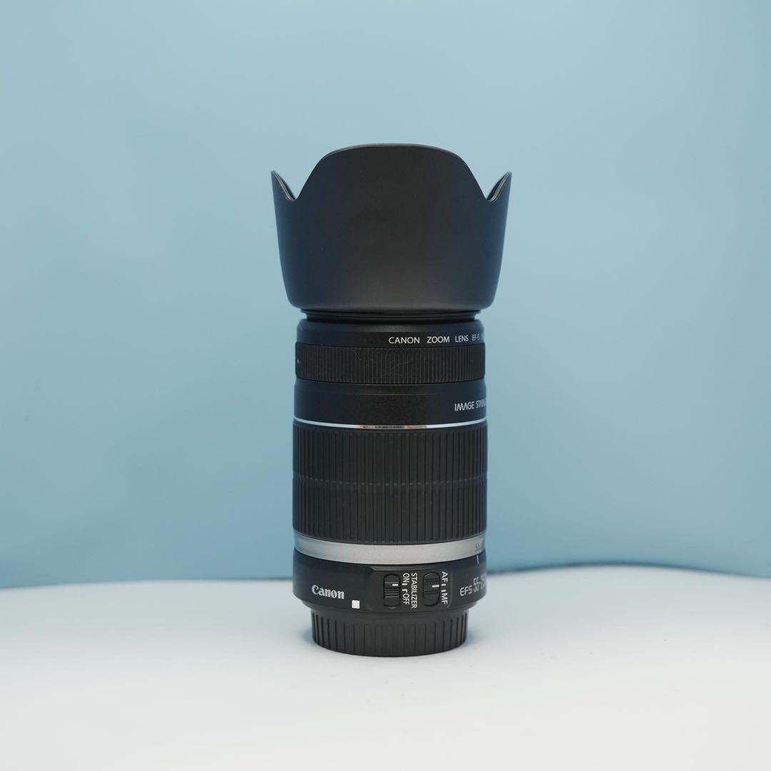 Canon純正 55-250mm 望遠レンズ a4510