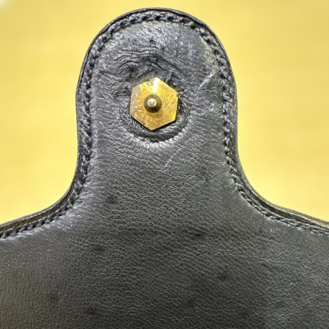 クリスチャンディオール オーストリッチ ハンドバッグ