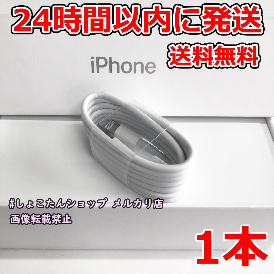 ipad pro ライトニング ケーブル 純正 対応 充電機 1本