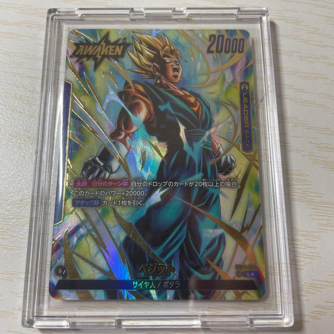 ベジット　リーダーパラレル