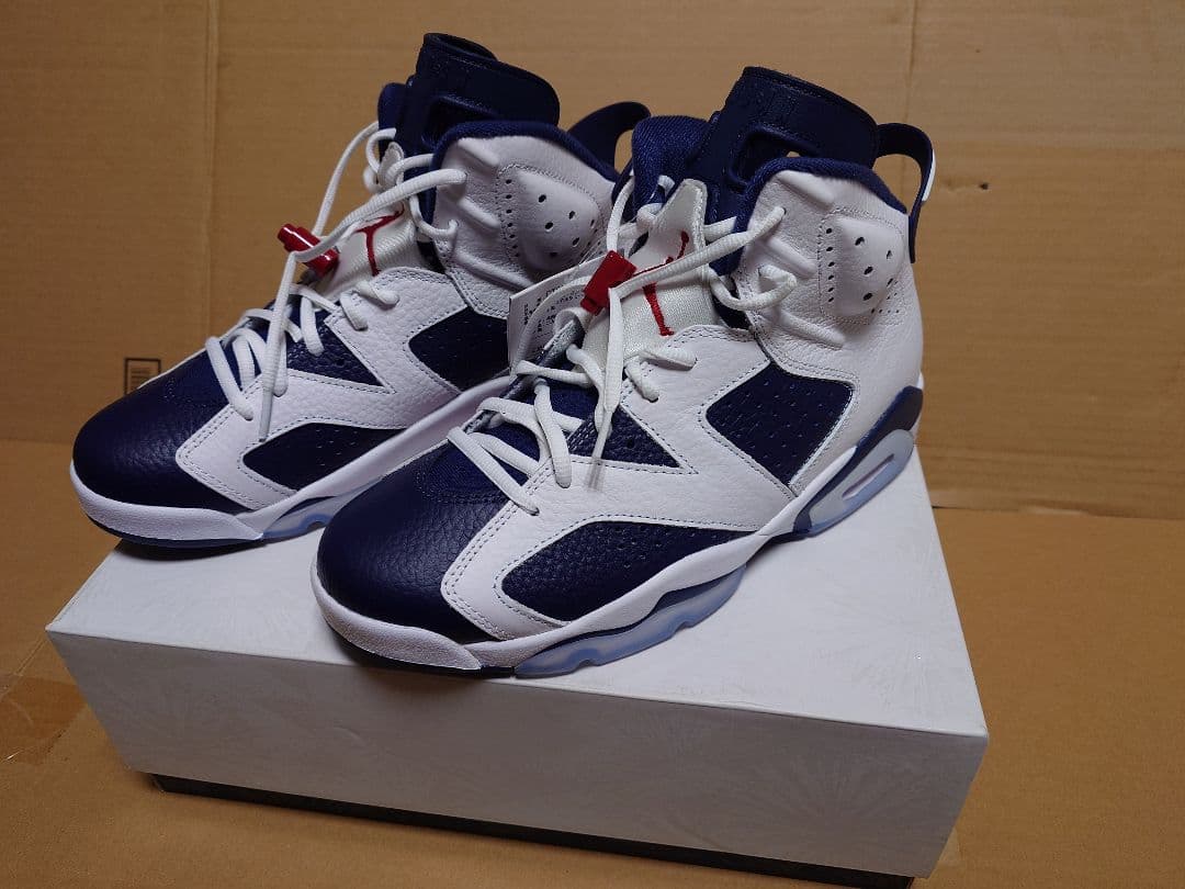 送料込 AIR JORDAN 6 RETRO　CT8529-164