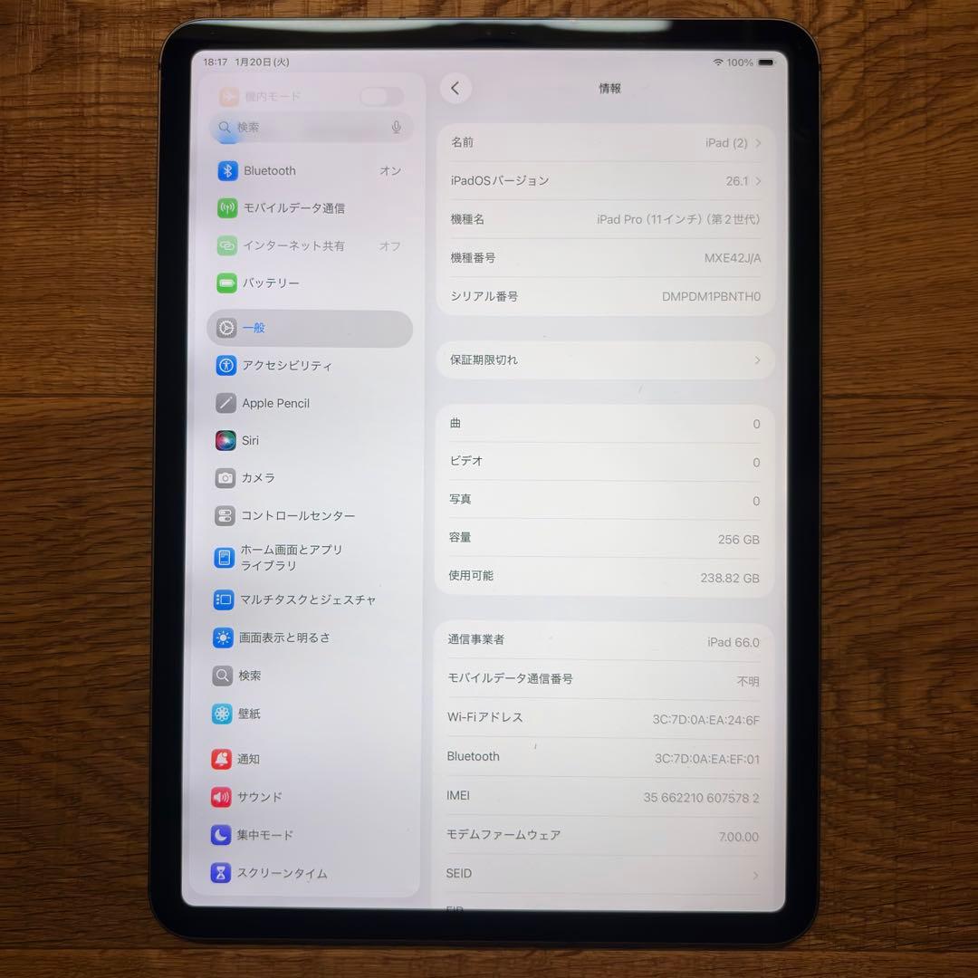 iPad Pro 11インチ (第2世代) 256GB