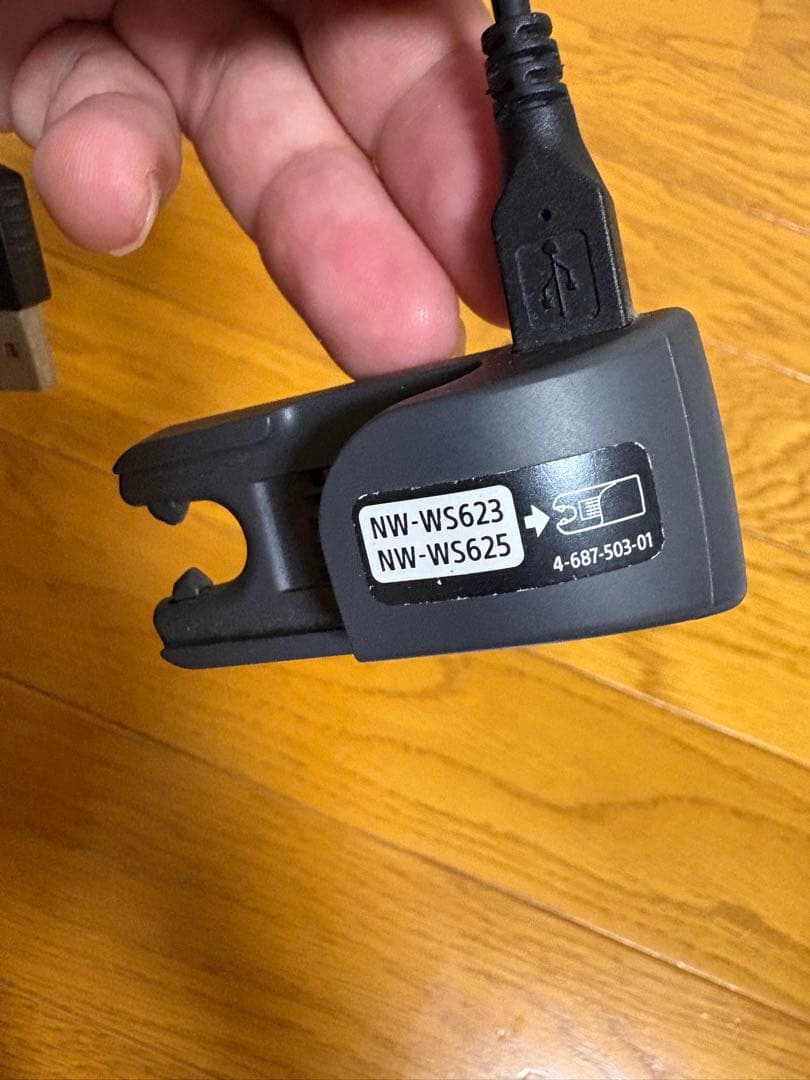 SONY Walkman Bluetoothイヤホン NW-WS623