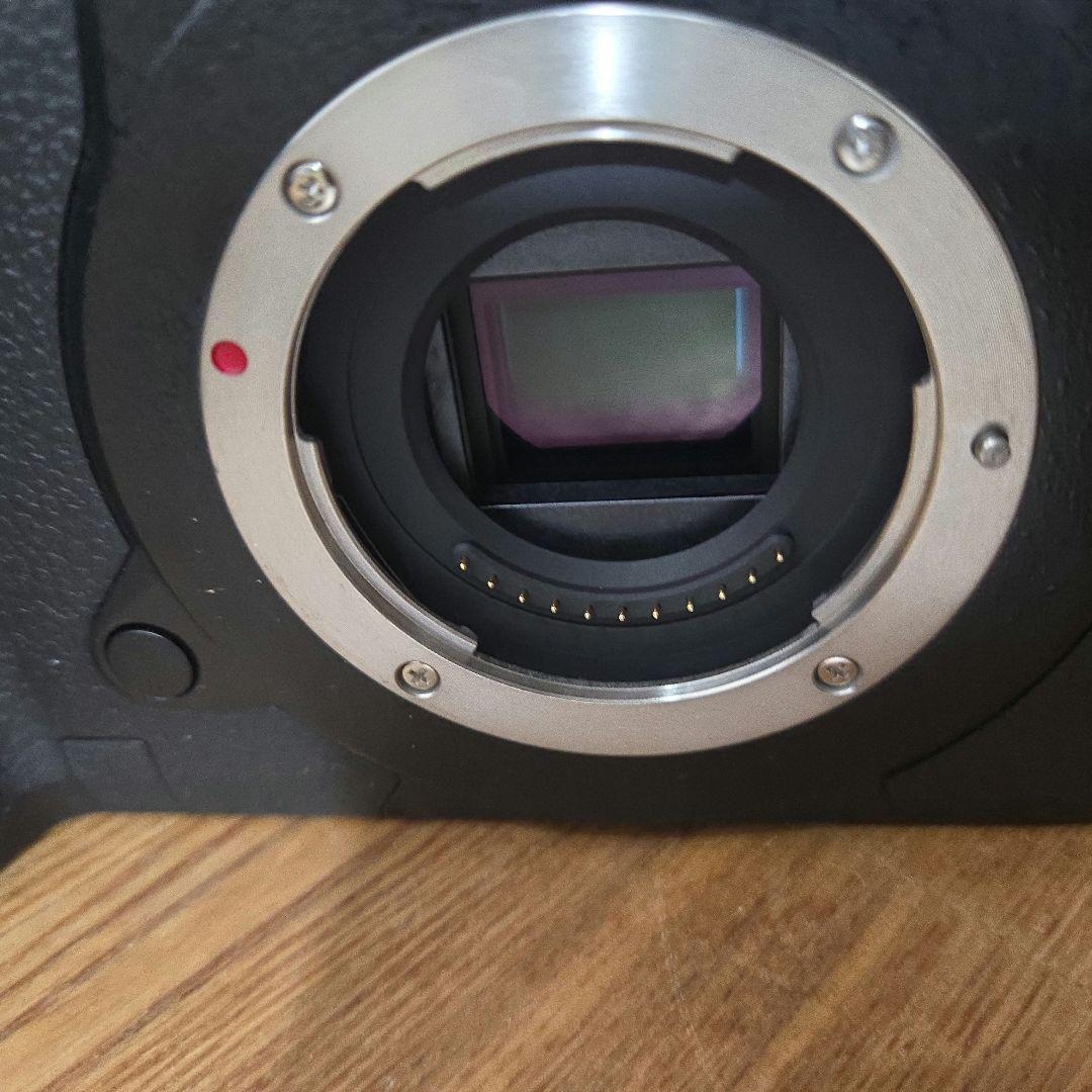 Z*e様 Panasonic LUMIX GH5 II DC-GH5M2 本体