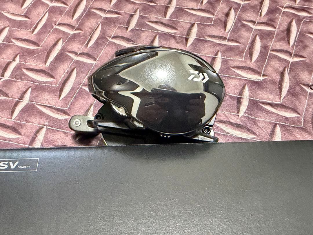 ダイワ 24スティーズ SV TW 100H STEEZ DAIWA