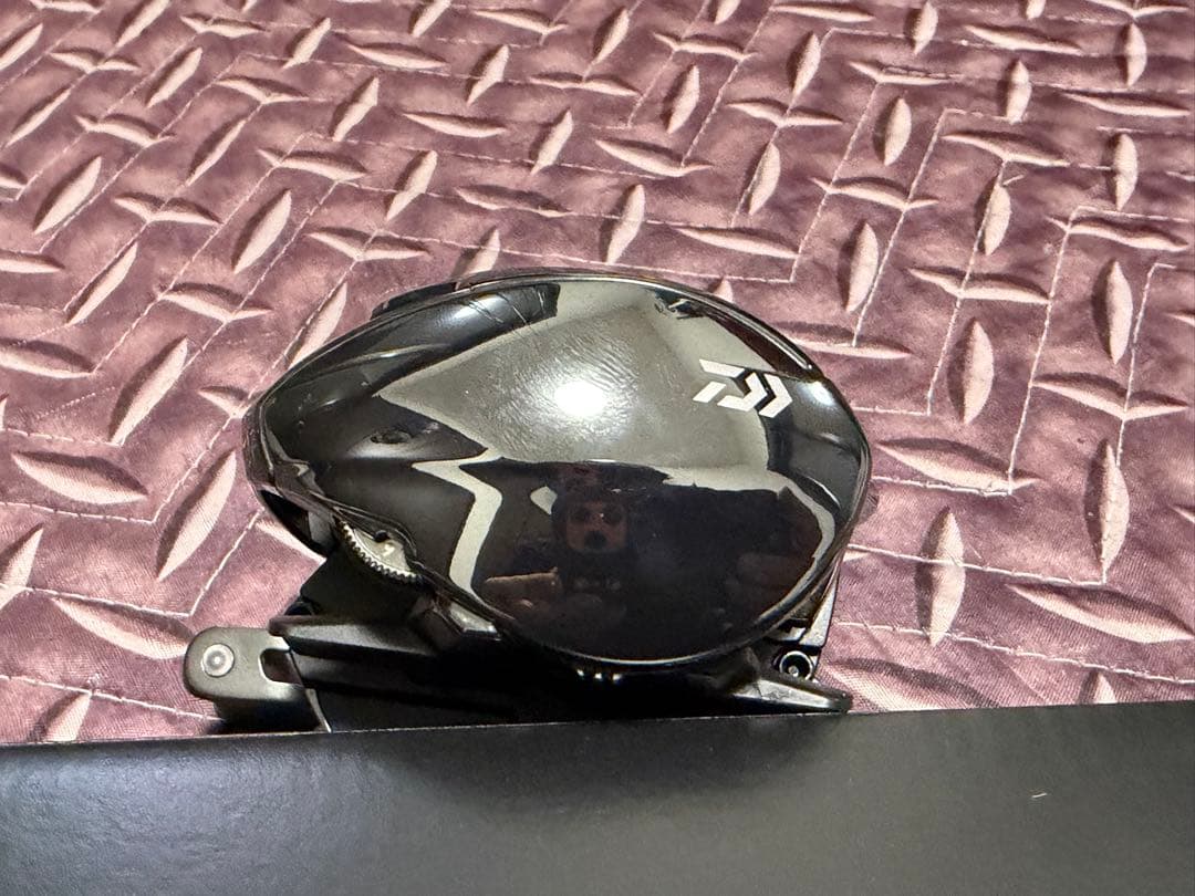 ダイワ 24スティーズ SV TW 100H STEEZ DAIWA