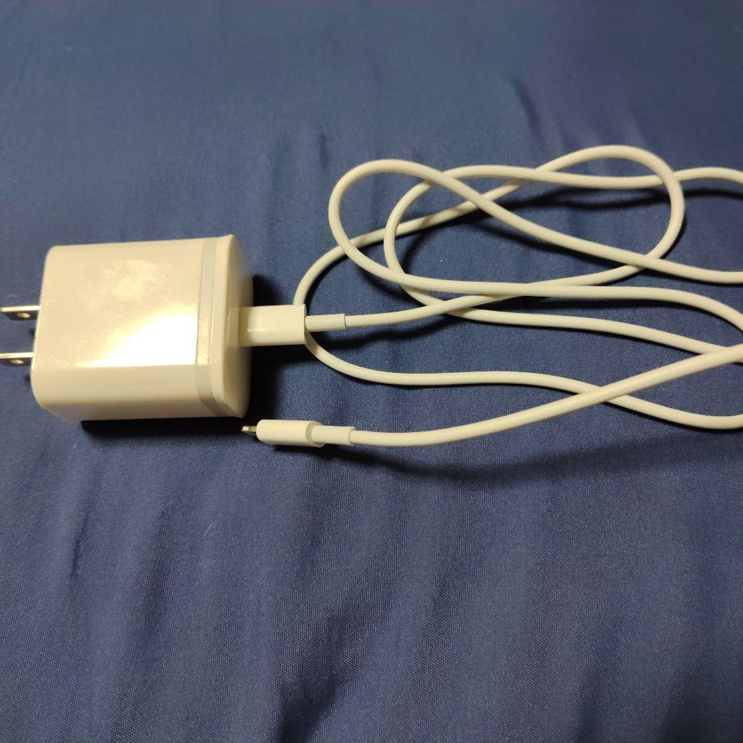 iPhoneSE2 ホワイト 本体＆充電器付き(SIMロックあり/au端末)