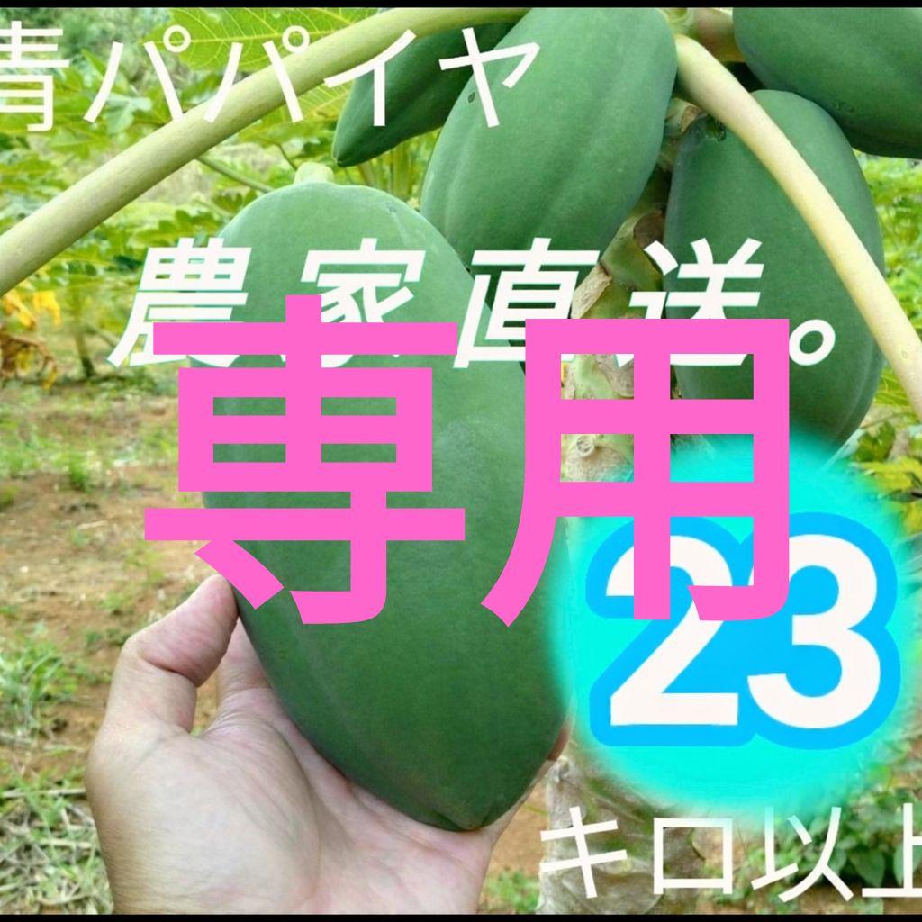 (ちーちゃん)青パパイヤ 24キロ 奄美群島産 送料込み