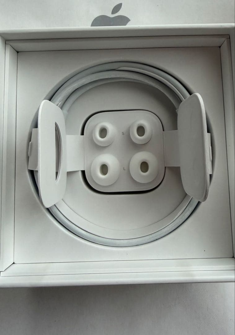 Apple AirPods Pro（第1世代）です。