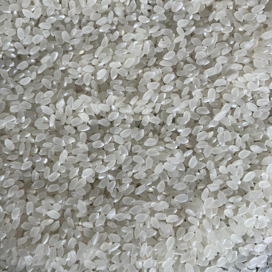 魚沼産コシヒカリ　令和7年産　白米　10キロ　米農家直送　送料無料①