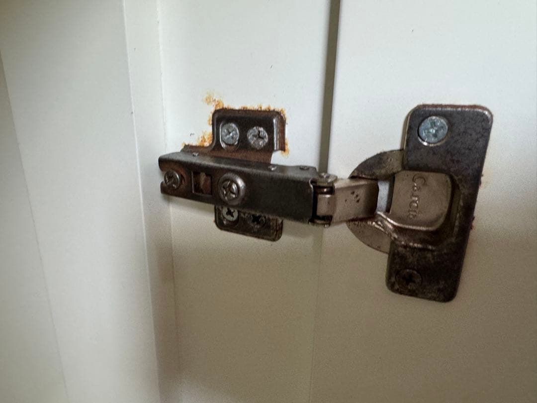 オルカT60 OF水槽セットW60.D45.H50【引き取り限定】　海水魚飼育