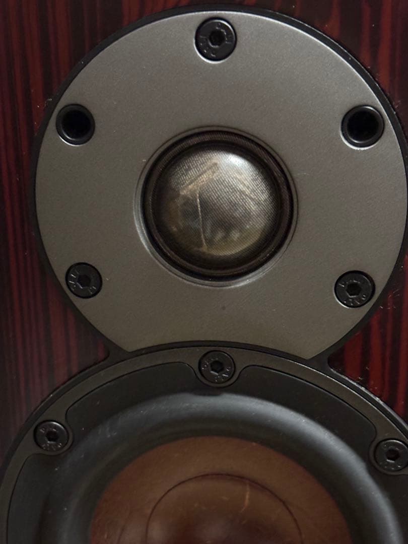 DALI Mentor Menuet SE （30周年記念モデル）