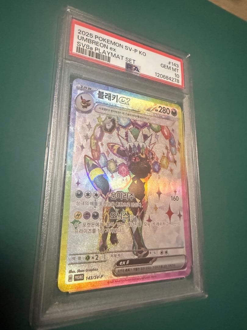 PSA10 ブラッキーex 韓国　テラスタルフェスex