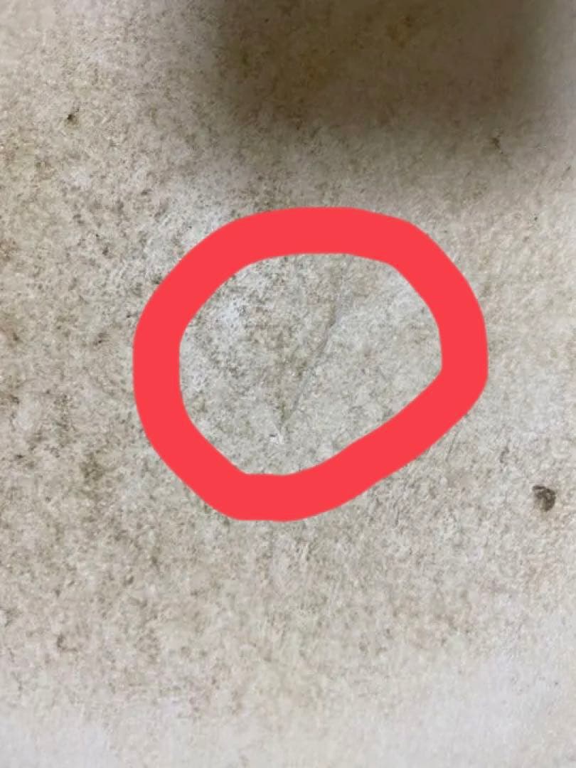 締太鼓用　皮2枚