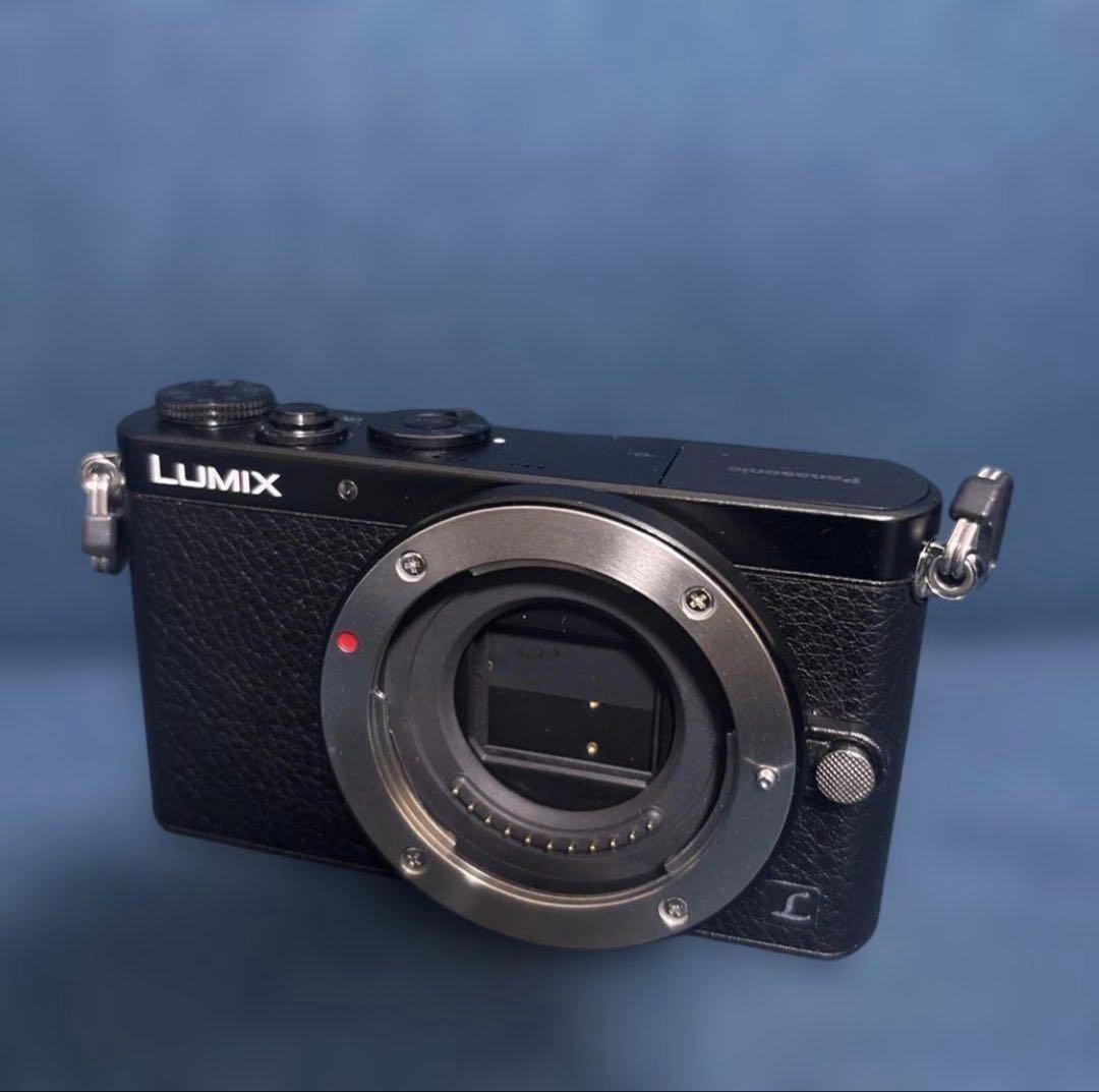 【ジャンク品】LUMIX ミラーレス一眼 ブラック