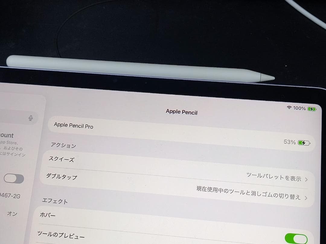 【美品】Apple Pencil Pro 純正 A2538 保証有