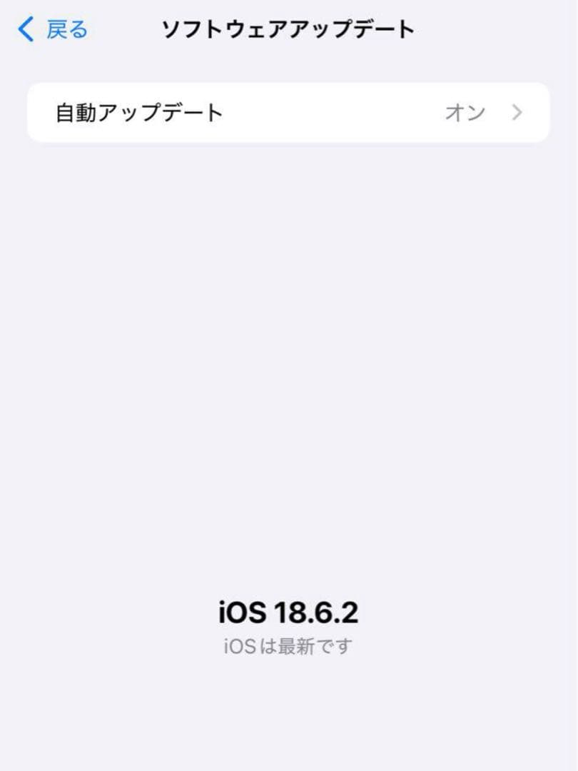 携帯電話本体 iPhone 13 ProMax 256GB