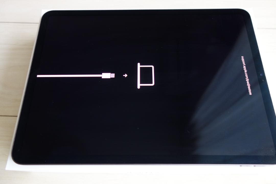 iPad Pro 11インチ Wi-Fiモデル 64GB（ジャンク品）