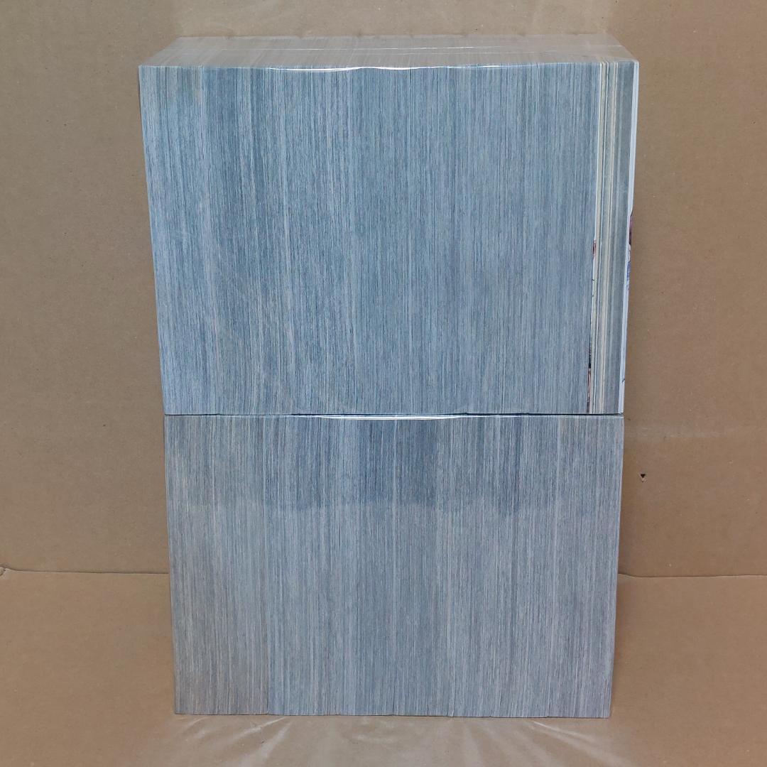 ゴールデンカムイ 集英社REMIX 全14巻セット +公式ファンブック