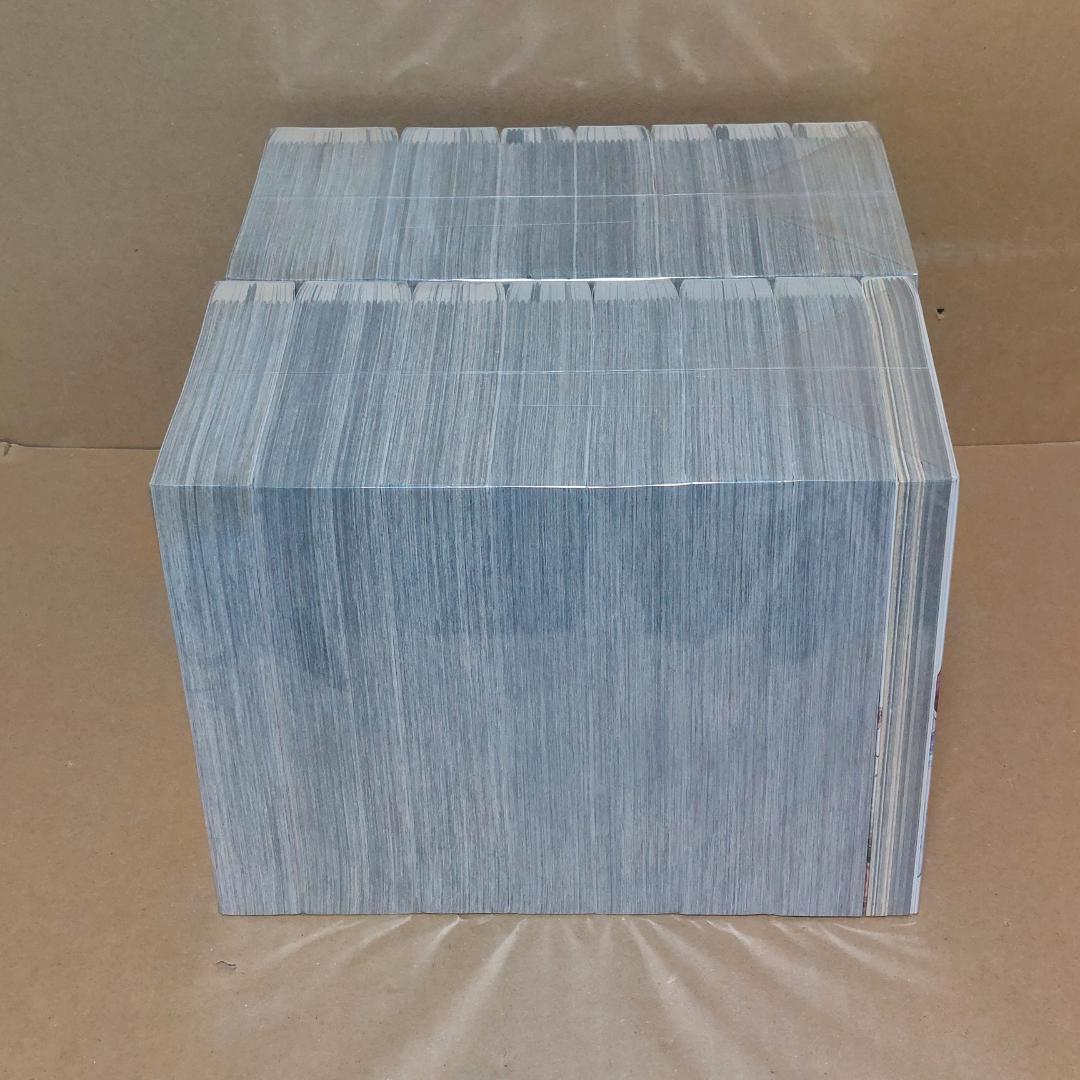 ゴールデンカムイ 集英社REMIX 全14巻セット +公式ファンブック