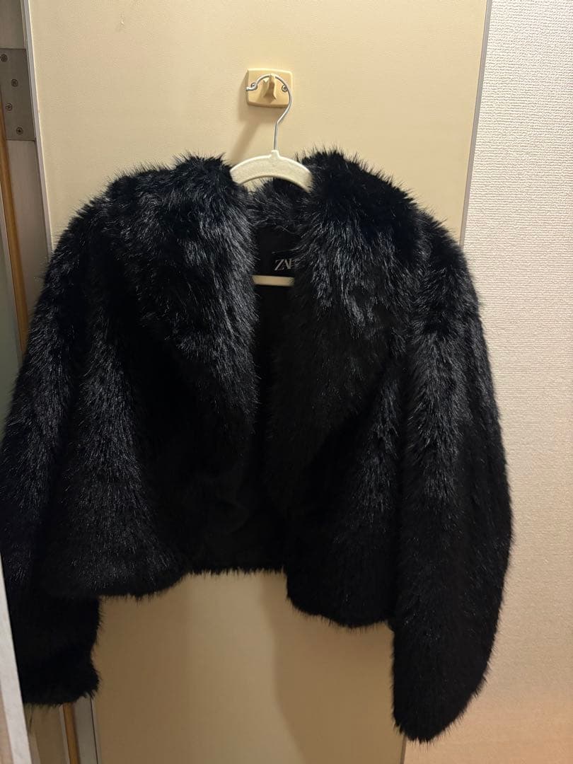 Zara ショート丈　ファー