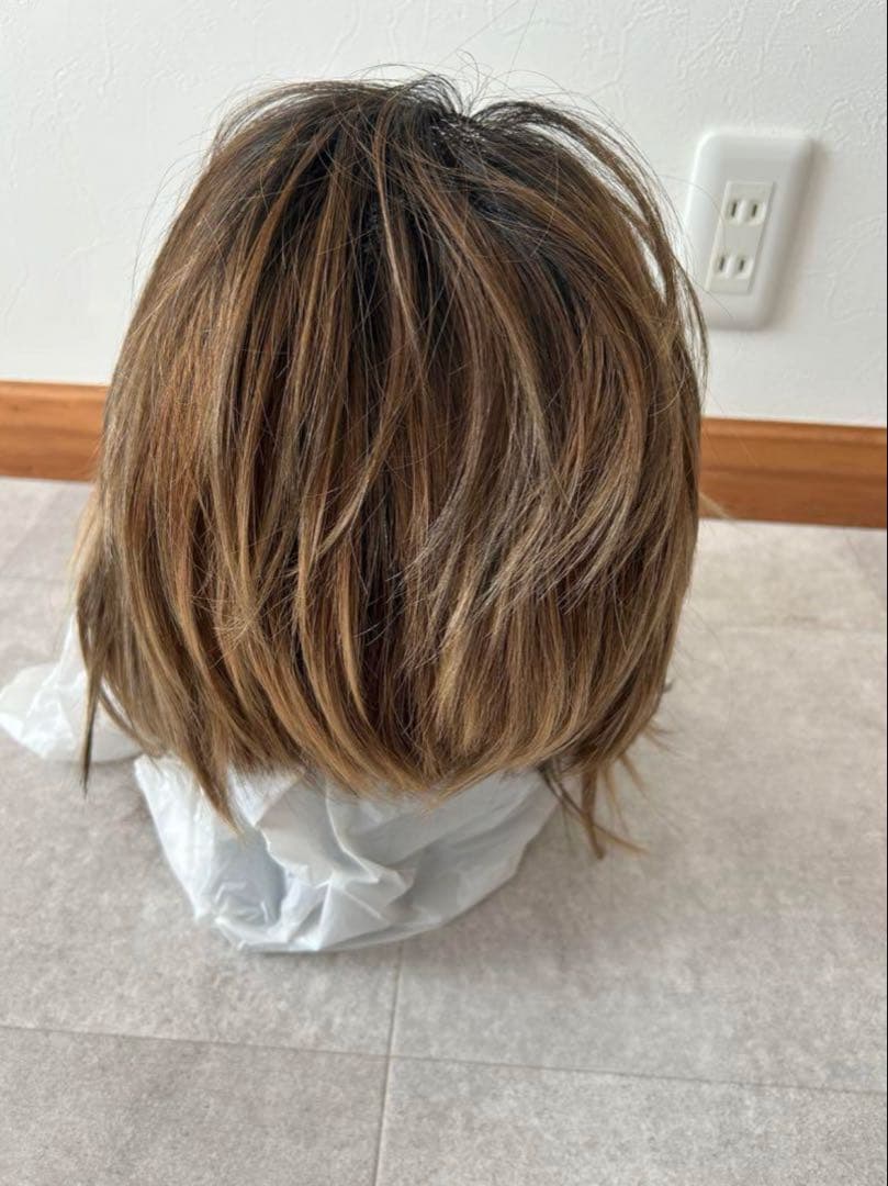 【新品未使用】フォンテーヌ　レディースウィッグ