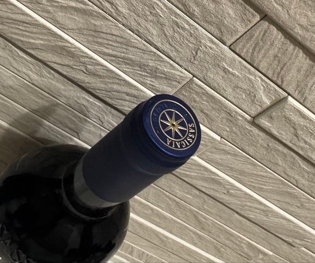 サッシカイア　2019