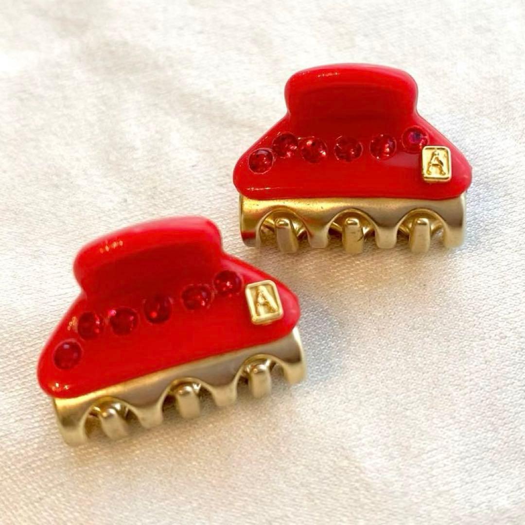 アレクサンドルドゥパリ　クリップ　マイクロ　xs ヘアクリップ　2個セット