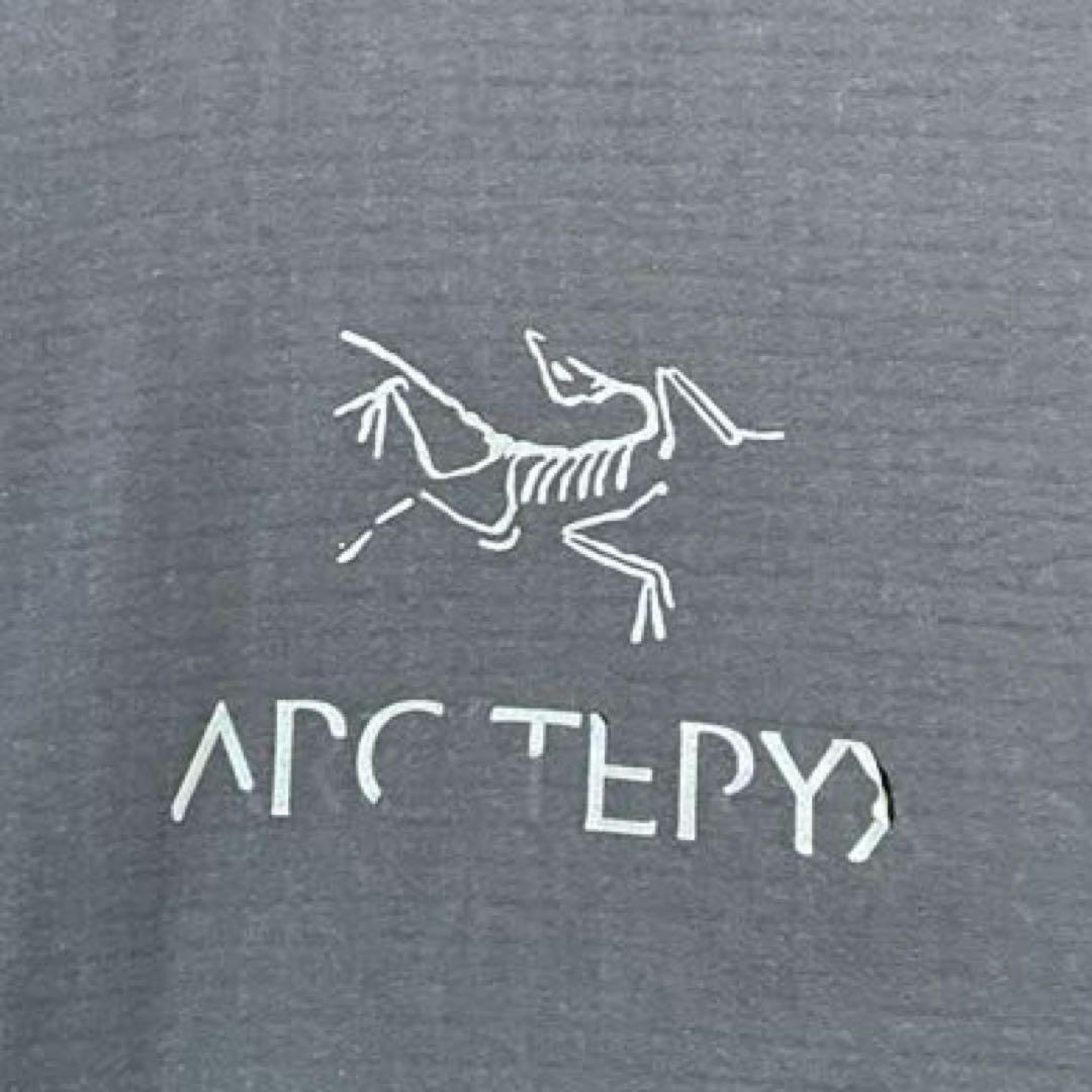 激レア廃盤モデルアークテリクス アトムAR フーディーAtom AR hoody