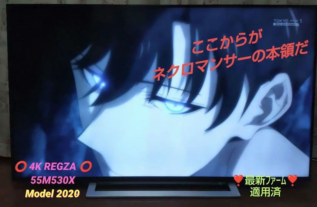 ⭕超絶✡美品ζ⭕ 東芝 ✡大画面 4K REGZA ✡ 55M530X ⭕即納⭕