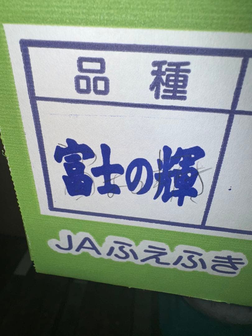 山梨県産ぶどう富士の輝ブラックシャインマスカット10パック入り箱込み約4.8キロ