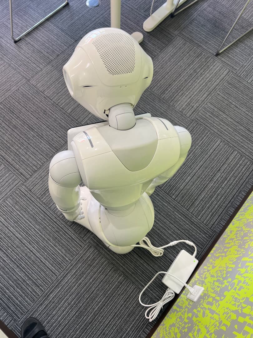 Pepper（ペッパー）Aldebaran Softbank 人型ロボット