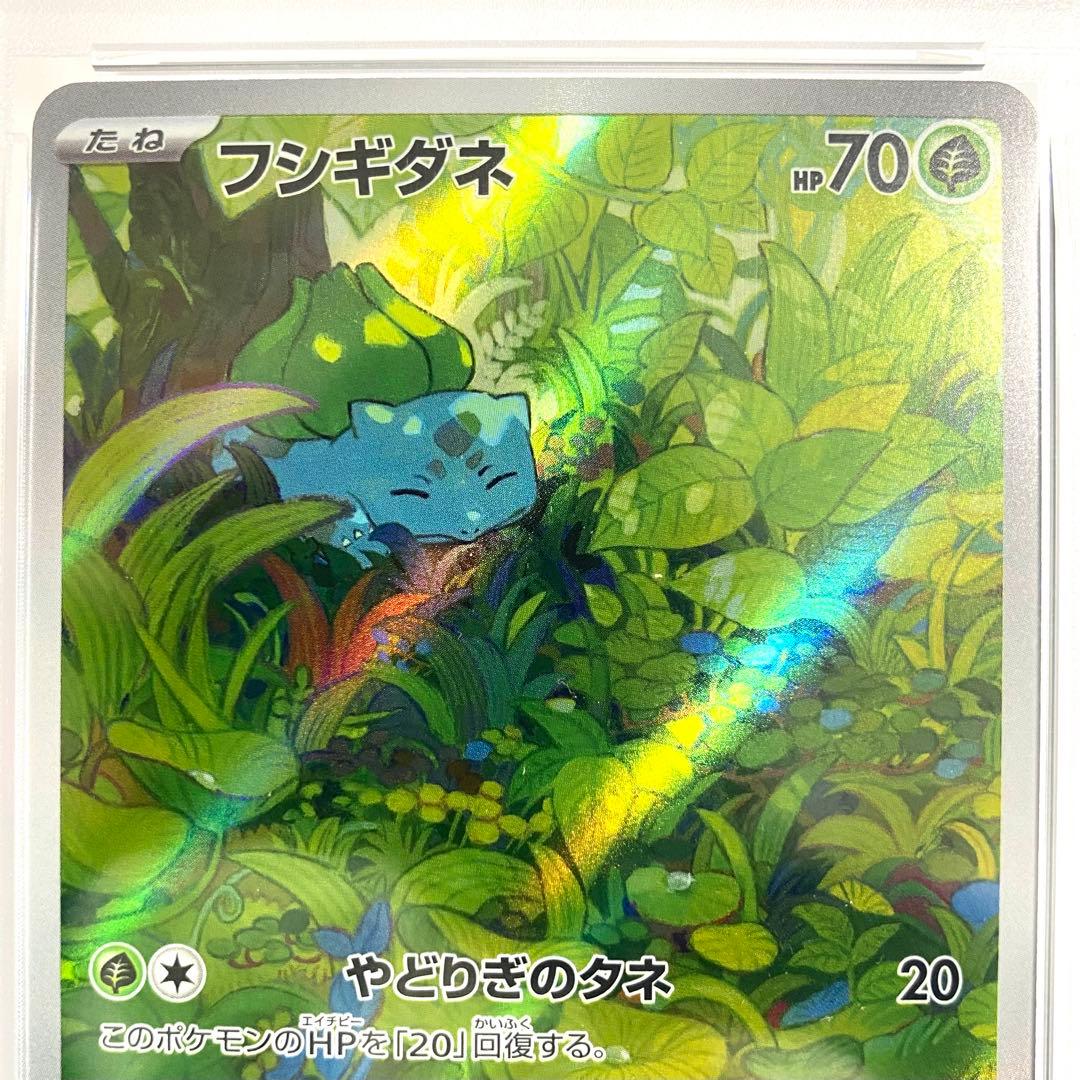 【PSA10 連番】御三家 フシギダネ ヒトカゲ ゼニガメ AR 151