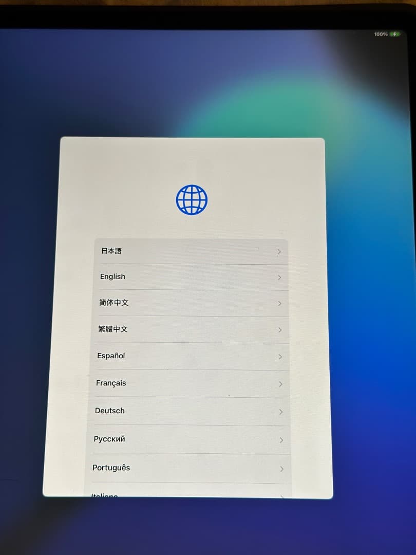 極美品 Apple iPad Pro 12.9 インチ 本体
