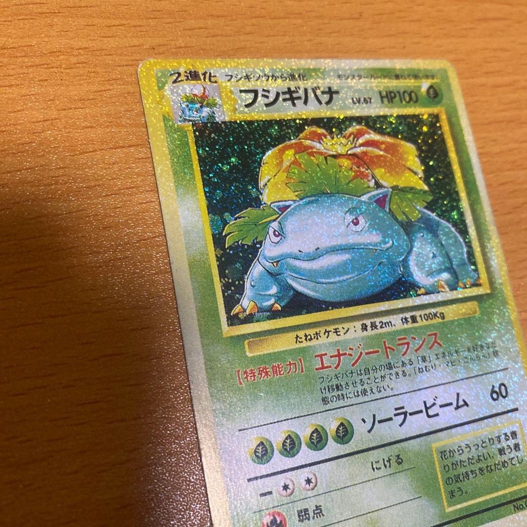 旧裏 フシギバナ エラーカード 　全面ホロ／裏面色抜け