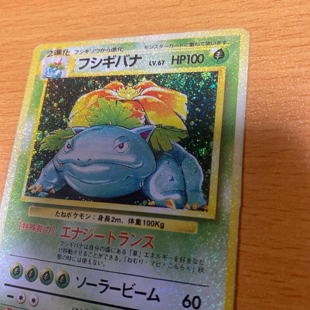 旧裏 フシギバナ エラーカード 　全面ホロ／裏面色抜け