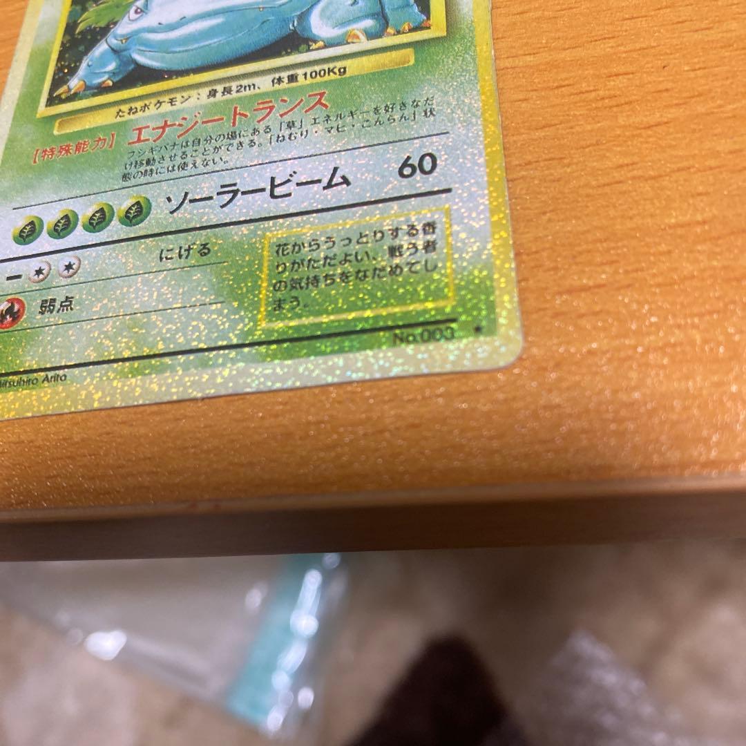 旧裏 フシギバナ エラーカード 　全面ホロ／裏面色抜け