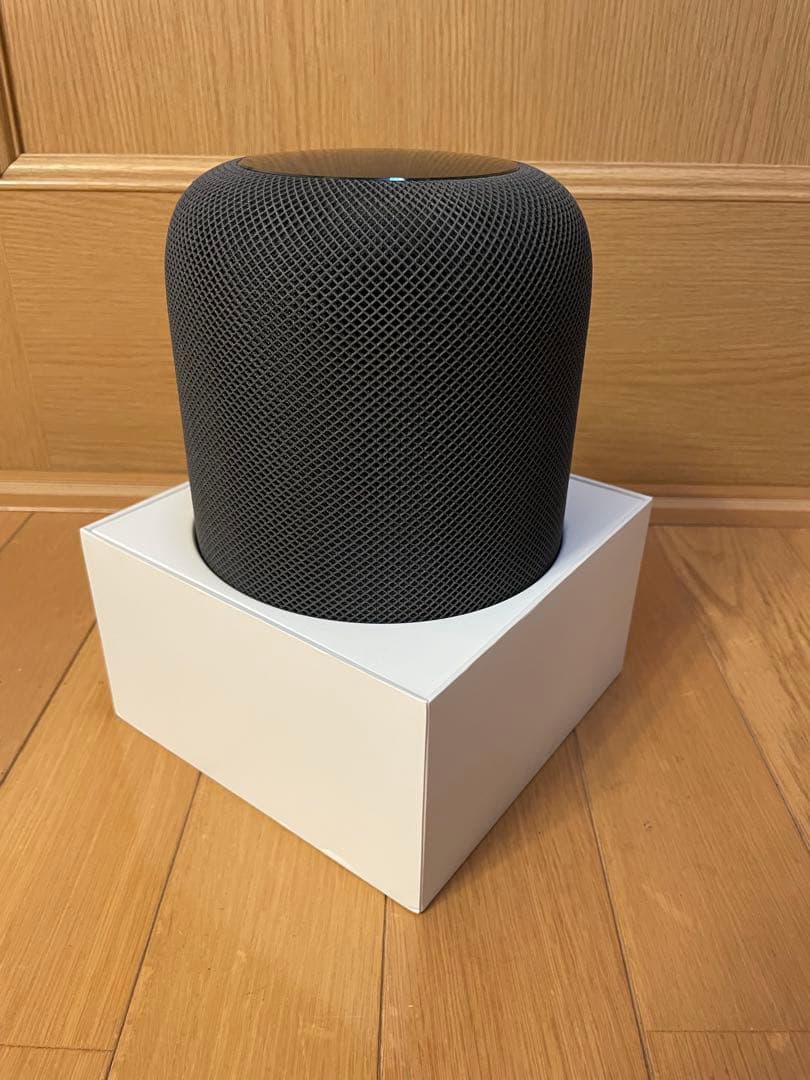 Apple Pod (第1世代) ※ジャンク品※