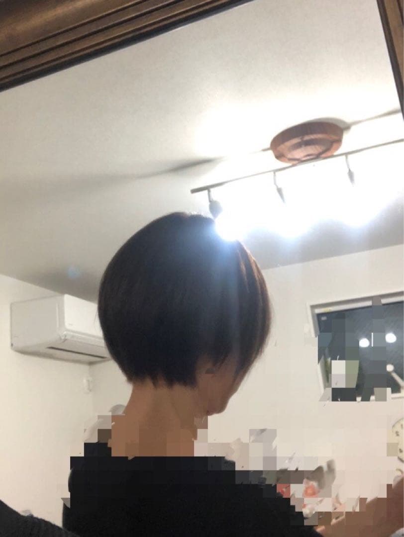 人毛ショート　ブラウン　未使用