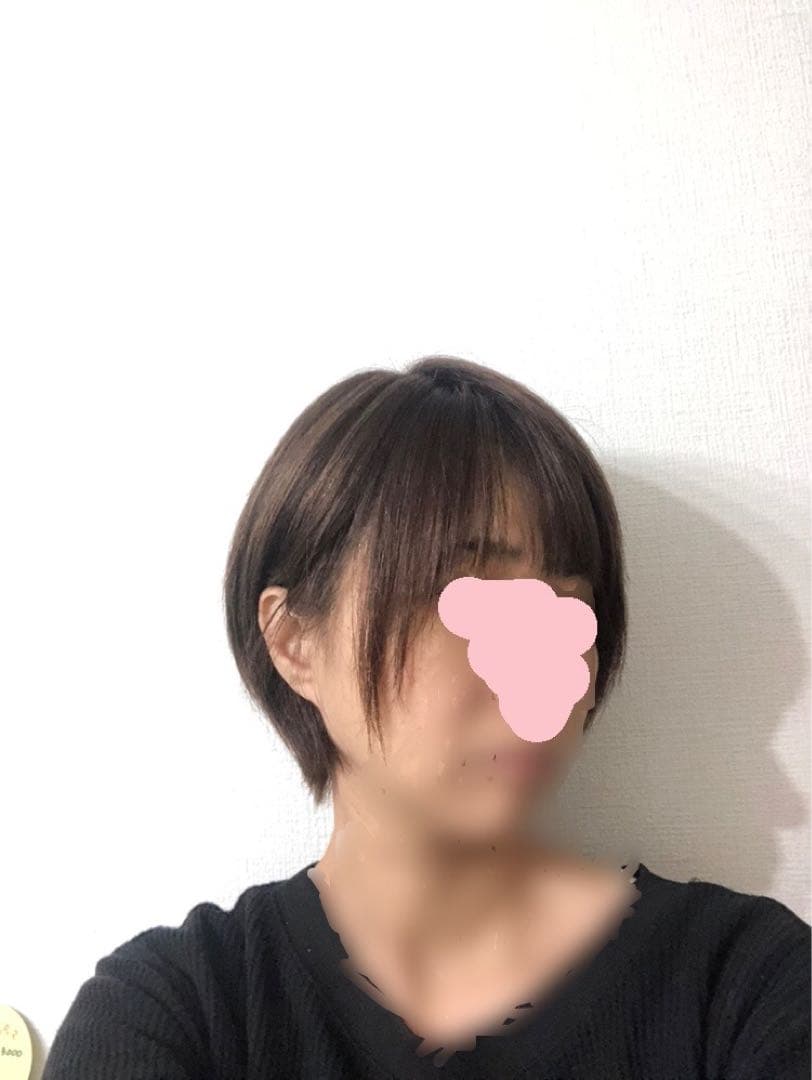 人毛ショート　ブラウン　未使用