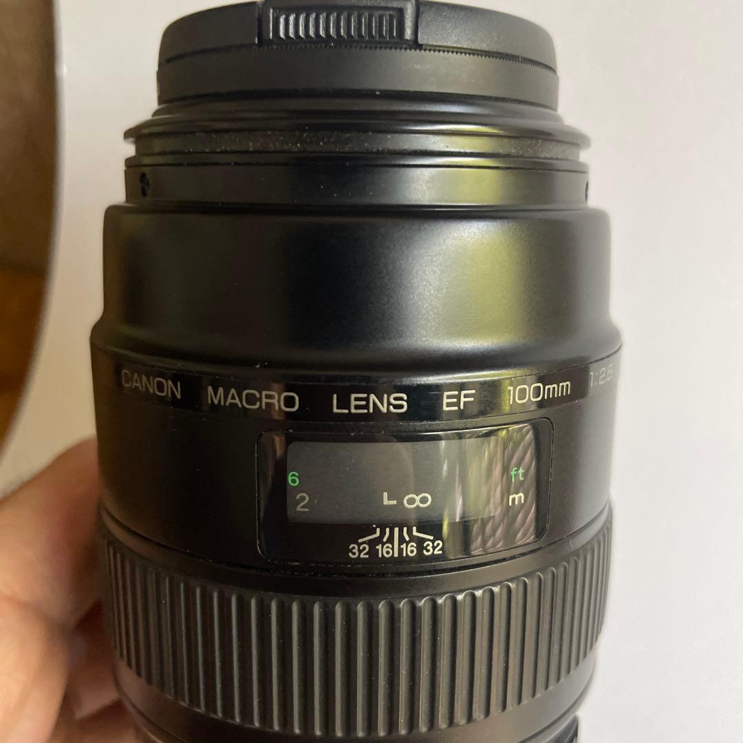 Canon EF 100mm マクロレンズ
