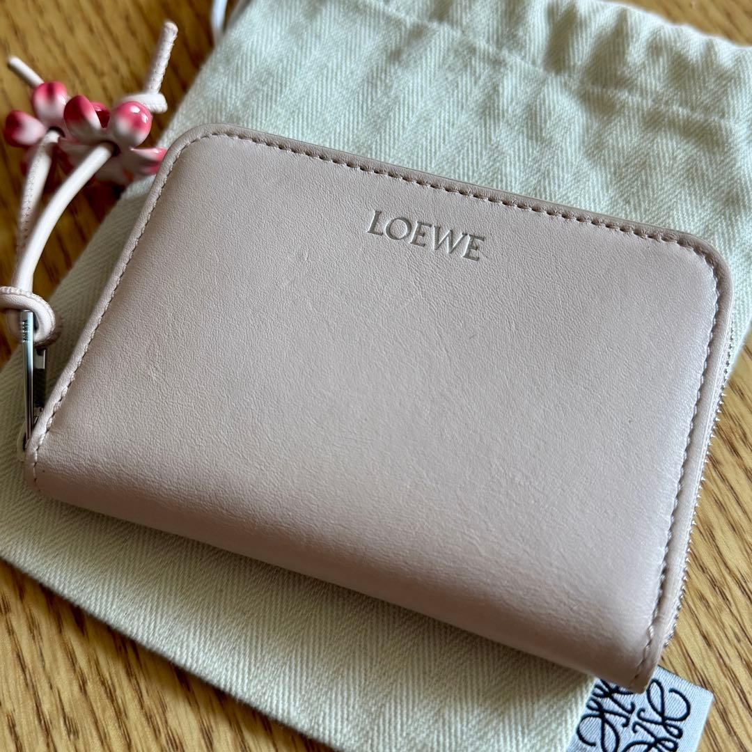 LOEWE ロエベ　ジップパース　デイジー