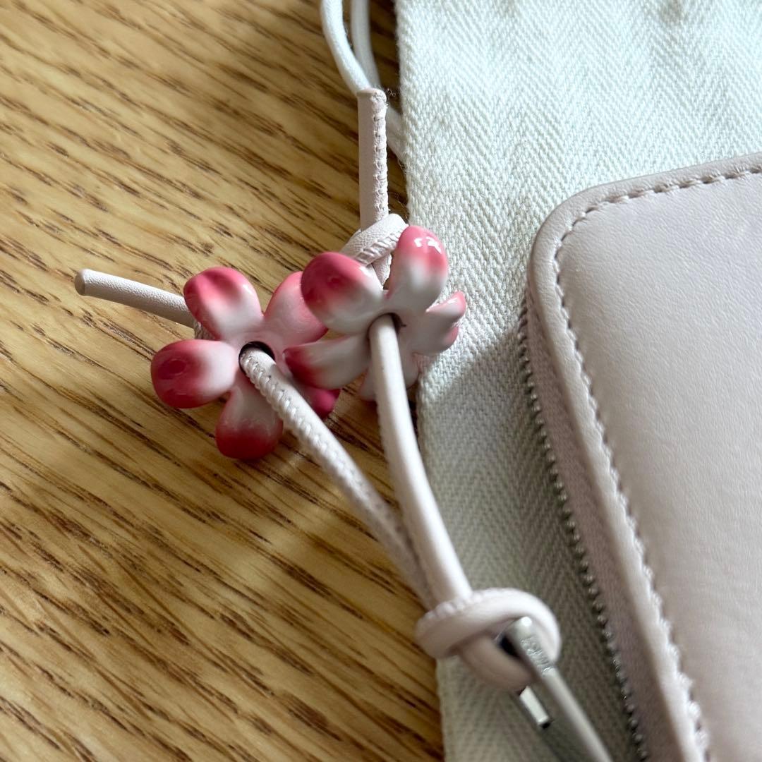 LOEWE ロエベ　ジップパース　デイジー