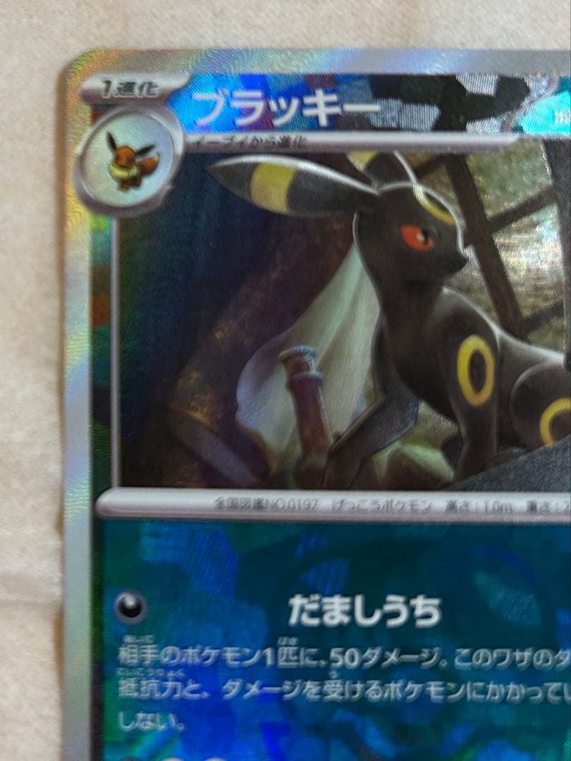 ブラッキー　マスターボールミラー　新品　ポケモンカード
