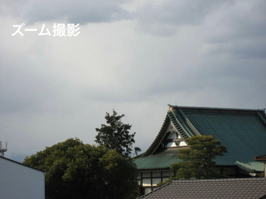 実写美⭕️新品同様【動作確認済】Canon IXY DIGITAL 800IS