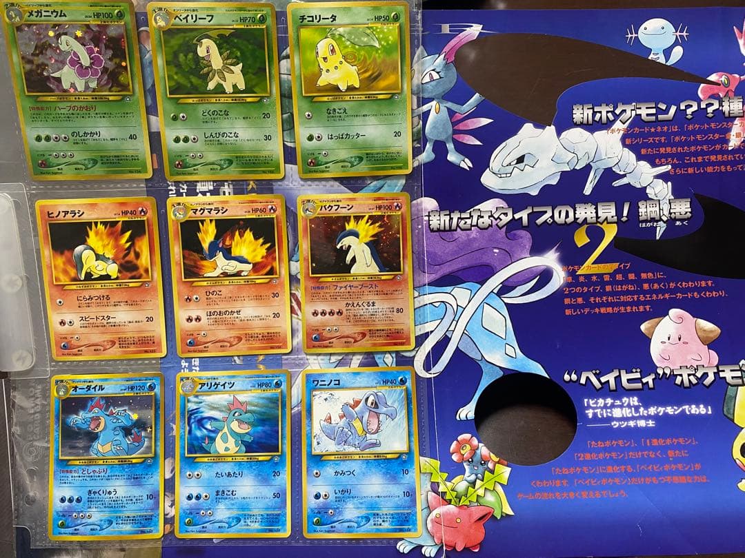 絶版 ポケモンカード neo プレミアムファイル 旧裏